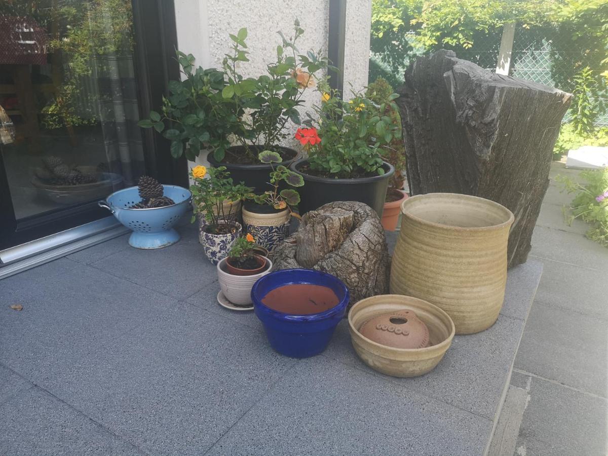 ホテルBarnescroft キルキール エクステリア 写真